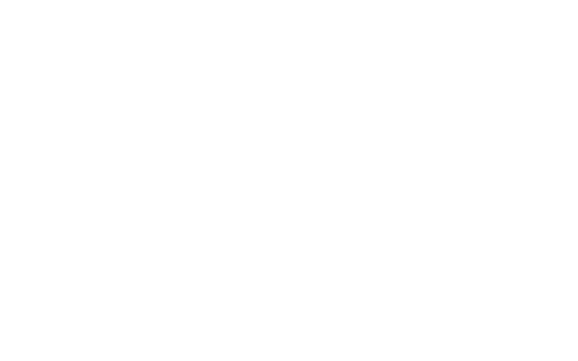 Спамскит